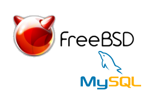freebsd mysql freebsd mysql