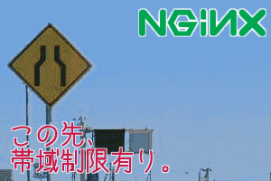 nginx band width nginx band width