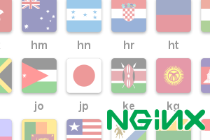 nginx geo nginx geo