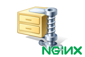 nginx gzip nginx gzip