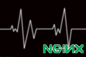 nginx keepalive nginx keepalive