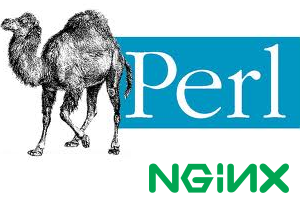 nginx perl nginx perl