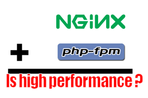 nginx php-fpm nginx php-fpm