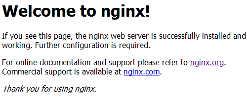 nginxの初期画面 nginxの初期画面