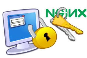 nginx security nginx security