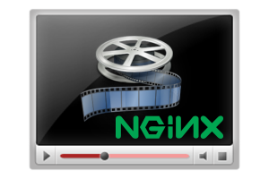 nginx Pseudo streaming nginx Pseudo streaming