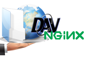 nginx webdav nginx webdav