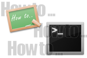 how to shell how to shell