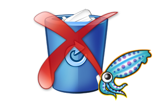 squid cache remove squid cache remove