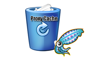 squid proxy cache squid proxy cache