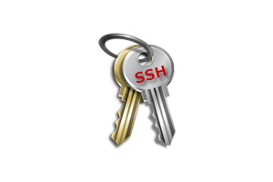 ssh public key ssh public key
