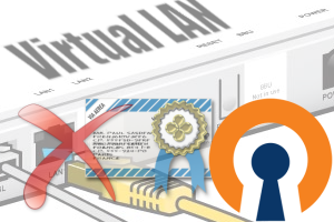 virtual lan opnevpn virtual lan opnevpn