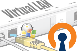 virtual lan opnevpn samba virtual lan opnevpn samba